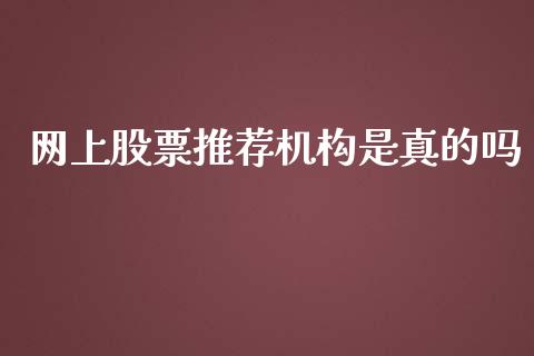 网上股票推荐机构是真的吗_https://www.lansai.wang_股票问答_第1张