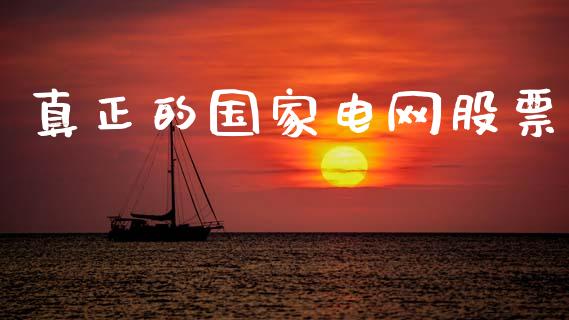 真正的国家电网股票_https://www.lansai.wang_期货行情_第1张