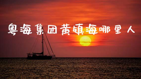 粤海集团黄镇海哪里人_https://www.lansai.wang_股票知识_第1张