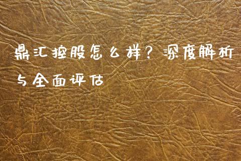 鼎汇控股怎么样？深度解析与全面评估_https://www.lansai.wang_恒生指数_第1张