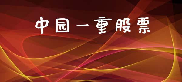 中园一重股票_https://www.lansai.wang_恒生指数_第1张