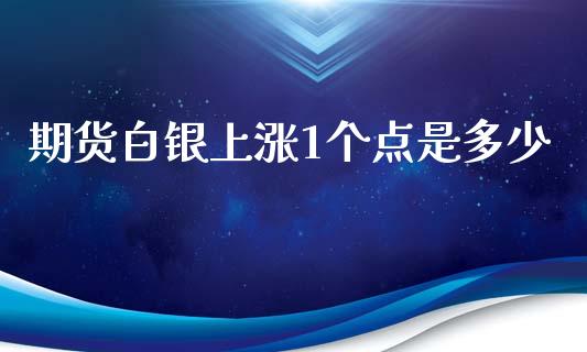 期货白银上涨1个点是多少_https://www.lansai.wang_期货资讯_第1张