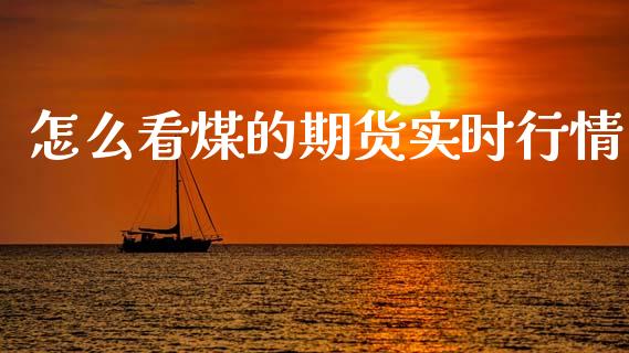 怎么看煤的期货实时行情_https://www.lansai.wang_未分类_第1张