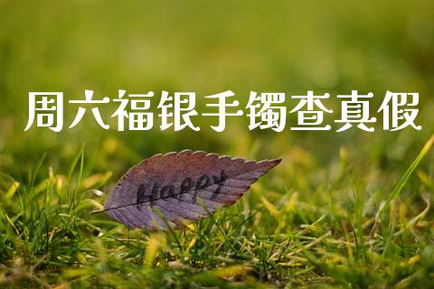 周六福银手镯查真假_https://www.lansai.wang_恒生指数_第1张