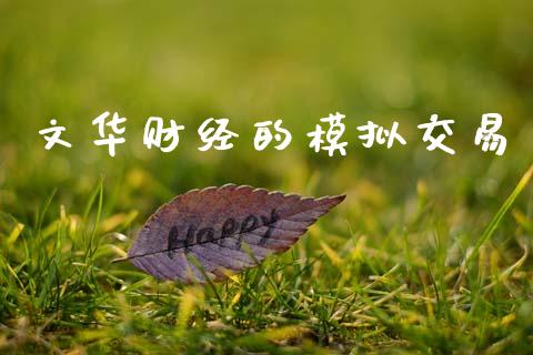 文华财经的模拟交易_https://www.lansai.wang_股指期货_第1张