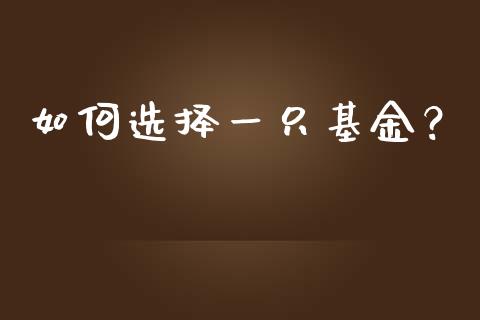 如何选择一只基金？_https://www.lansai.wang_基金理财_第1张