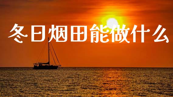 冬日烟田能做什么_https://www.lansai.wang_恒生指数_第1张