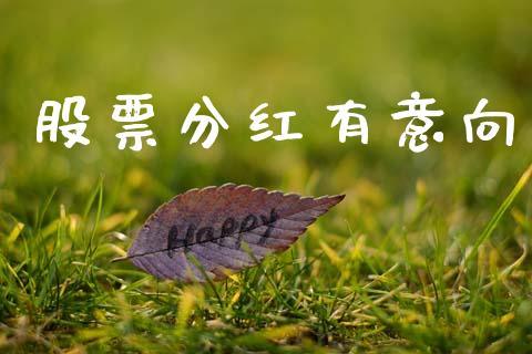 股票分红有意向_https://www.lansai.wang_基金理财_第1张