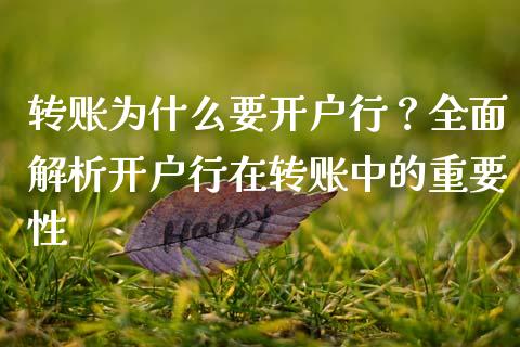 转账为什么要开户行？全面解析开户行在转账中的重要性_https://www.lansai.wang_期货品种_第1张