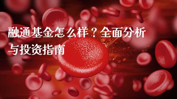 融通基金怎么样？全面分析与投资指南_https://www.lansai.wang_期货行情_第1张