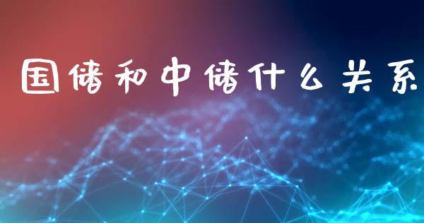国储和中储什么关系_https://www.lansai.wang_基金理财_第1张