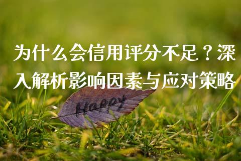 为什么会信用评分不足？深入解析影响因素与应对策略_https://www.lansai.wang_基金理财_第1张