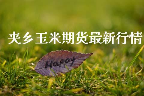 夹乡玉米期货最新行情_https://www.lansai.wang_期货资讯_第1张