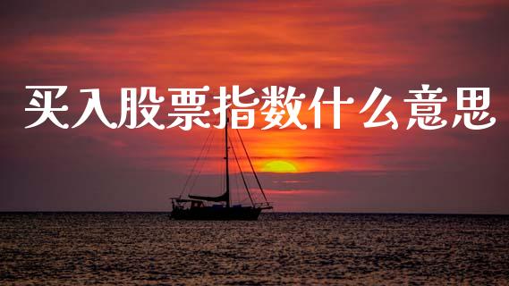 买入股票指数什么意思_https://www.lansai.wang_期货行情_第1张
