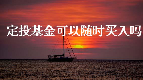 定投基金可以随时买入吗_https://www.lansai.wang_未分类_第1张