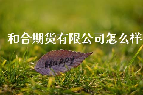 和合期货有限公司怎么样_https://www.lansai.wang_期货行情_第1张