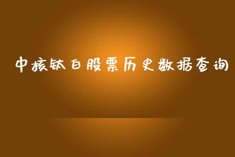 中核钛白股票历史数据查询_https://www.lansai.wang_股票问答_第1张