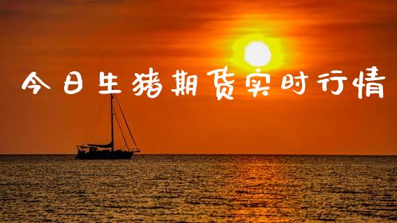 今日生猪期货实时行情_https://www.lansai.wang_期货资讯_第1张