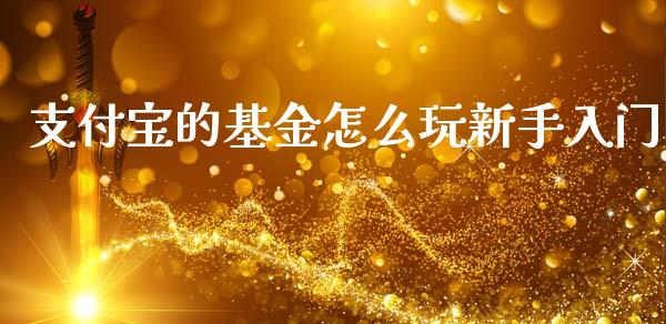 支付宝的基金怎么玩新手入门_https://www.lansai.wang_基金理财_第1张