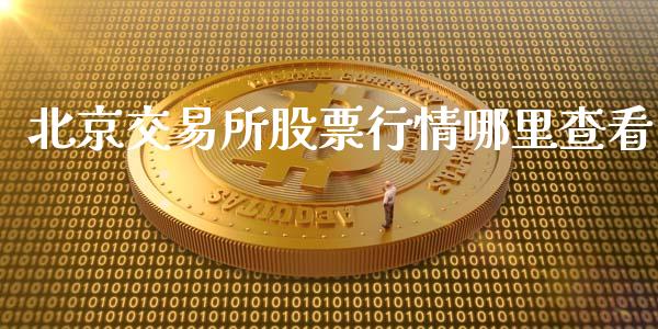 北京交易所股票行情哪里查看_https://www.lansai.wang_股票知识_第1张