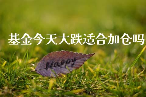 基金今天大跌适合加仓吗_https://www.lansai.wang_基金理财_第1张