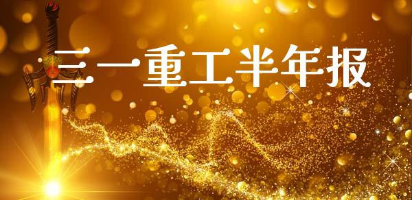 三一重工半年报_https://www.lansai.wang_股票知识_第1张