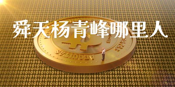 舜天杨青峰哪里人_https://www.lansai.wang_股票问答_第1张