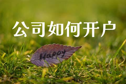 公司如何开户_https://www.lansai.wang_股票问答_第1张
