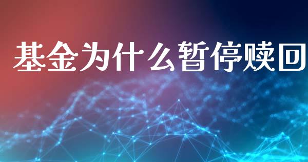 基金为什么暂停赎回_https://www.lansai.wang_基金理财_第1张