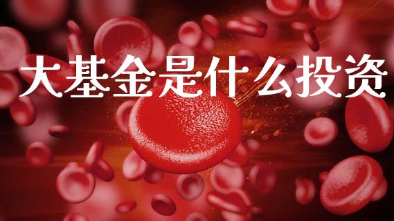 大基金是什么投资_https://www.lansai.wang_未分类_第1张
