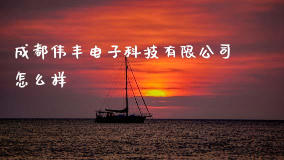 成都伟丰电子科技有限公司怎么样_https://www.lansai.wang_恒生指数_第1张