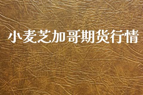 小麦芝加哥期货行情_https://www.lansai.wang_期货品种_第1张