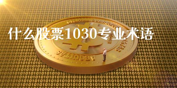 什么股票1030专业术语_https://www.lansai.wang_基金理财_第1张