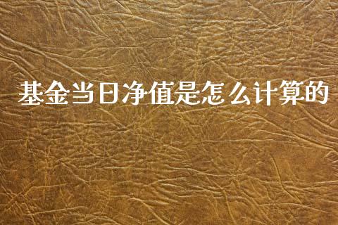 基金当日净值是怎么计算的_https://www.lansai.wang_基金理财_第1张