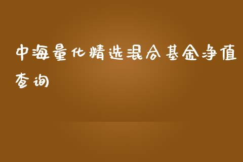 中海量化精选混合基金净值查询_https://www.lansai.wang_基金理财_第1张