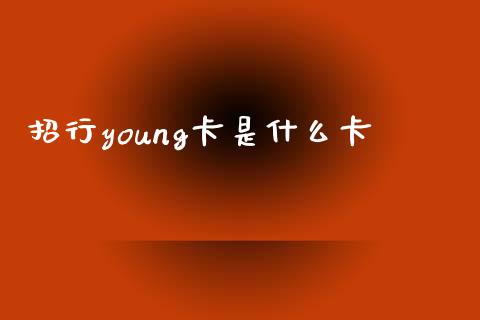 招行young卡是什么卡_https://www.lansai.wang_理财百科_第1张