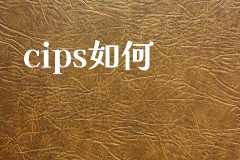 cips如何_https://www.lansai.wang_期货资讯_第1张