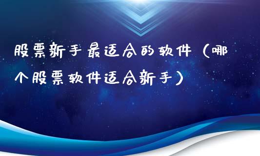 股票新手最适合的软件（哪个股票软件适合新手）_https://www.lansai.wang_股票知识_第1张