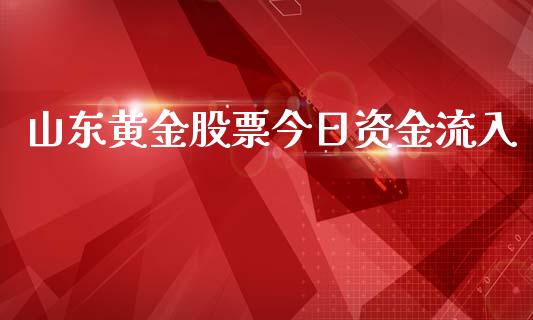 山东黄金股票今日资金流入_https://www.lansai.wang_期货资讯_第1张