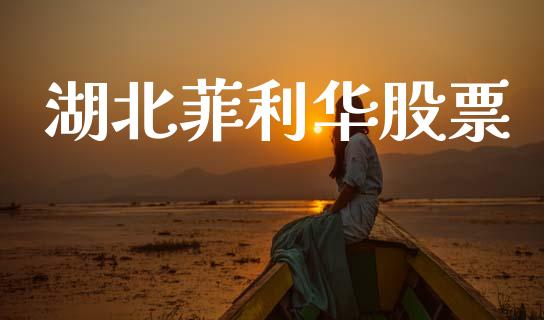 湖北菲利华股票_https://www.lansai.wang_期货资讯_第1张