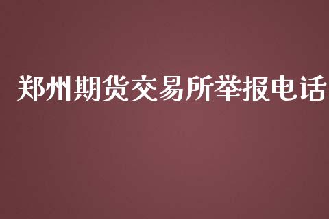 郑州期货交易所举报电话_https://www.lansai.wang_期货学院_第1张