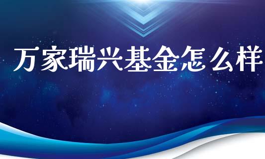 万家瑞兴基金怎么样_https://www.lansai.wang_恒生指数_第1张