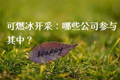 可燃冰开采：哪些公司参与其中？_https://www.lansai.wang_基金理财_第1张