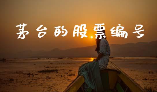 茅台的股票编号_https://www.lansai.wang_期货行情_第1张