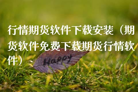 行情期货软件下载安装（期货软件免费下载期货行情软件）_https://www.lansai.wang_期货行情_第1张