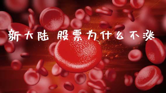 新大陆 股票为什么不涨_https://www.lansai.wang_期货资讯_第1张