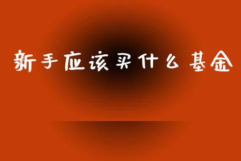 新手应该买什么基金_https://www.lansai.wang_基金理财_第1张