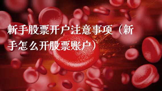 新手股票开户注意事项（新手怎么开股票账户）_https://www.lansai.wang_股票知识_第1张