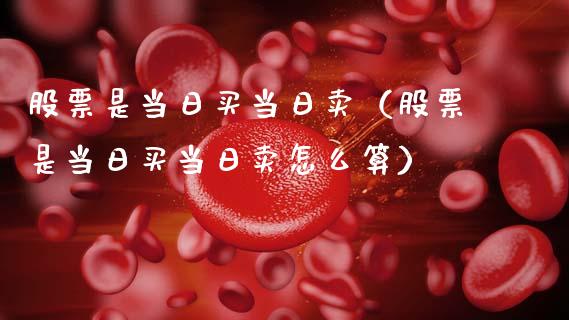 股票是当日买当日卖（股票是当日买当日卖怎么算）_https://www.lansai.wang_股票知识_第1张