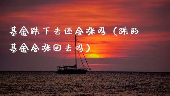 基金跌下去还会涨吗（跌的基金会涨回去吗）_https://www.lansai.wang_基金理财_第1张